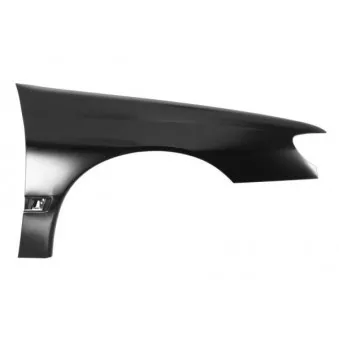 Aile avant droit BLIC 6504-04-5536312Q