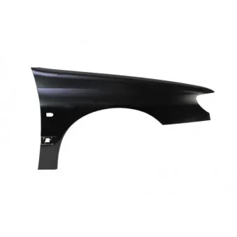 Aile avant droit BLIC 6504-04-5536314Q