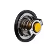 TEKNÖR CTM-CH-034 - Thermostat, liquide de refroidissement