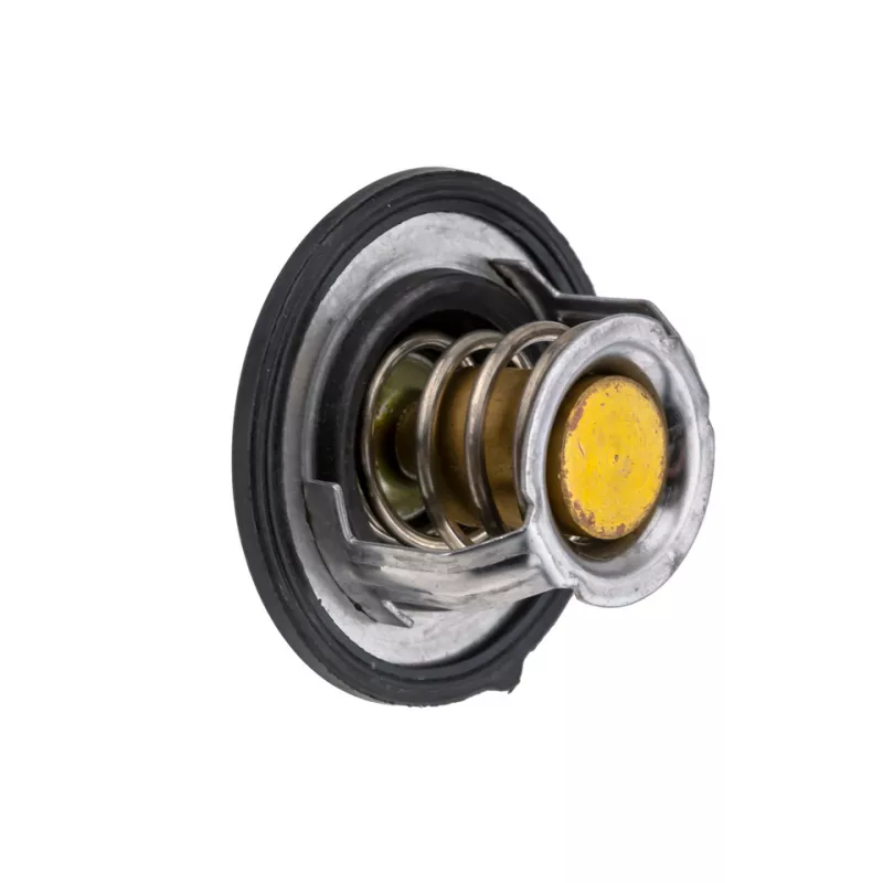 Thermostat, liquide de refroidissement TEKNÖR CTM-KA-000 - Visuel 1