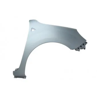 Aile avant droit BLIC 6504-04-6011312P