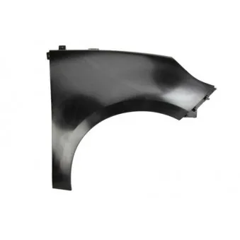 Aile avant droit BLIC 6504-04-6042314P