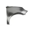 BLIC 6504-04-6042314P - Aile avant droit 