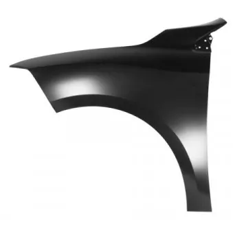 Aile avant gauche BLIC 6504-04-6050311P