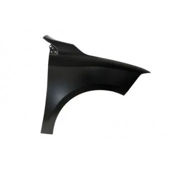 Aile avant droit BLIC 6504-04-6050312P