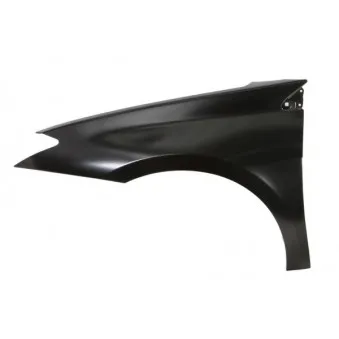 Aile avant gauche BLIC 6504-04-6056311P