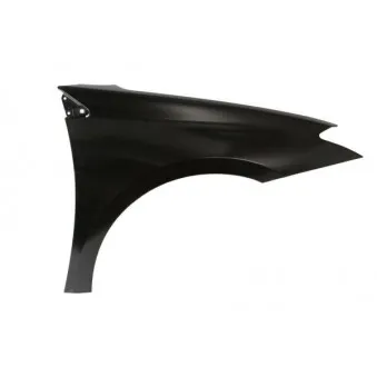 Aile avant droit BLIC 6504-04-6056312P