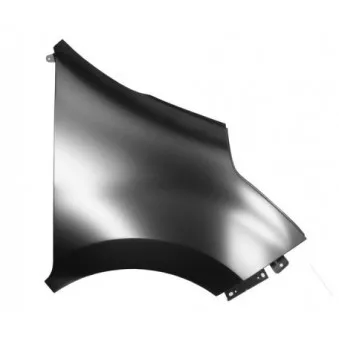 Aile avant droit BLIC OEM 631001746R