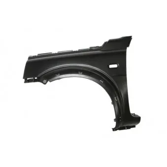 Aile avant gauche BLIC 6504-04-6425311P