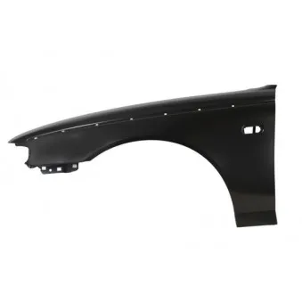 Aile avant gauche BLIC 6504-04-6431311P