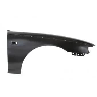 Aile avant droit BLIC 6504-04-6431312P