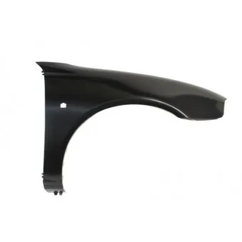 Aile avant droit BLIC 6504-04-6435312P