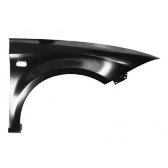 Aile avant droit BLIC 6504-04-6613312Q