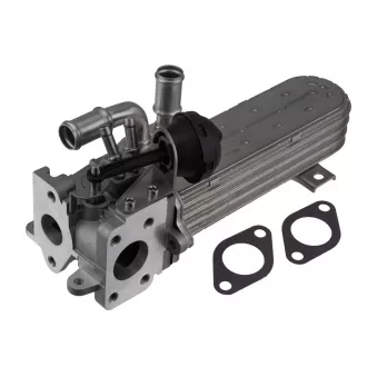 Radiateur, réaspiration des gaz d'échappement TEKNÖR OEM 03G131513D