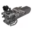 TEKNÖR EGR-VW-066 - Radiateur, réaspiration des gaz d'échappement