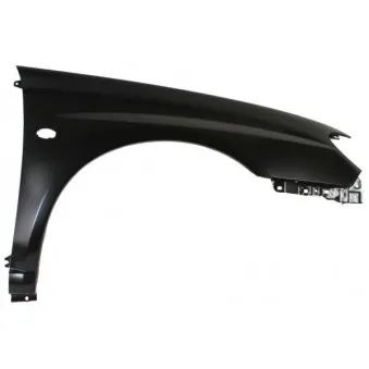 Aile avant droit BLIC 6504-04-6733312P