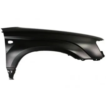 Aile avant droit BLIC 6504-04-6736314P