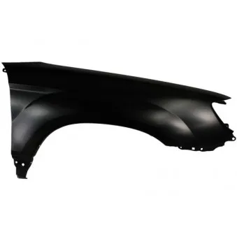 Aile avant droit BLIC 6504-04-6736316P
