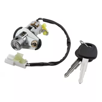 Jeu de cylindres de serrures TEKNÖR OEM 812502EA00