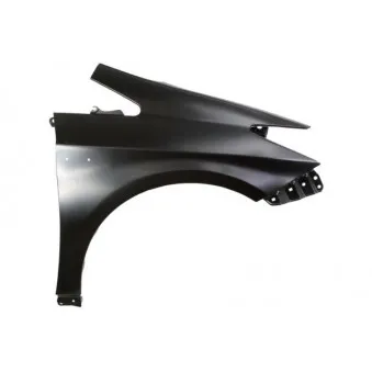 Aile avant droit BLIC 6504-04-8199312P