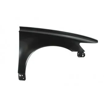 Aile avant droit BLIC 6504-04-9009312Q