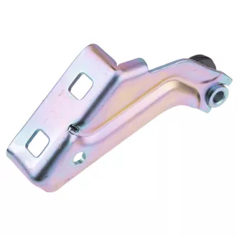 Tôle De Réparation Seuil De Porte Renault Kangoo 1997-2008 - Côté Gauche, Neuf