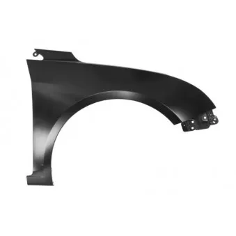 Aile avant droit BLIC 6504-04-9036312P