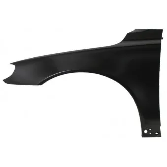 Aile avant gauche BLIC 6504-04-9038311P