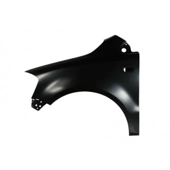 Aile avant gauche BLIC 6504-04-9503311P