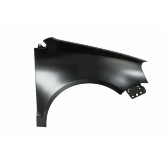 Aile avant droit BLIC 6504-04-9506314Q