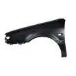 Aile avant gauche BLIC [6504-04-9538311P]