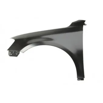 Aile avant gauche BLIC 6504-04-9547311P