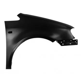 Aile avant droit BLIC 6504-04-9571312P