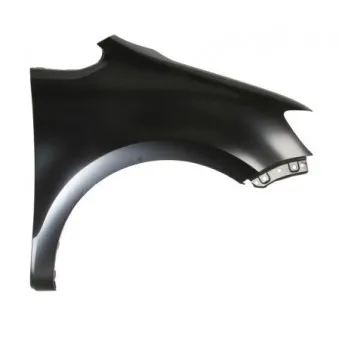 Aile avant droit BLIC 6504-04-9591312P