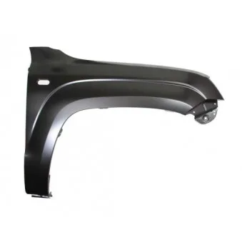 Aile avant droit BLIC 6504-04-9595312P