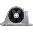 TEKNÖR ZPS-BM-032 - Support moteur arrière droit 