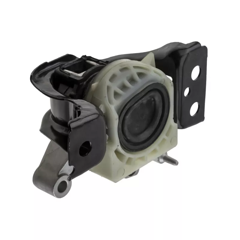 Support moteur TEKNÖR ZPS-NS-181 - Visuel 1