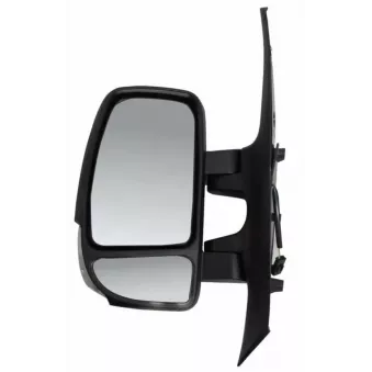Rétroviseur extérieur RICAM OEM 963020624R