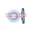 KAMOKA 103010 - Jeu de 2 disques de frein avant