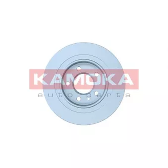 Jeu de 2 disques de frein arrière KAMOKA OEM 13521008