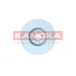 KAMOKA 103052 - Jeu de 2 disques de frein avant