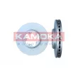 KAMOKA 103130 - Jeu de 2 disques de frein avant