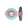 KAMOKA 103455 - Jeu de 2 disques de frein avant