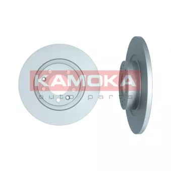 Jeu de 2 disques de frein arrière KAMOKA OEM 4249G2
