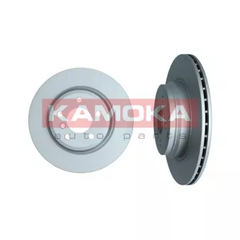Jeu de 2 disques de frein arrière KAMOKA OEM 6792233