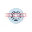 KAMOKA 103649 - Jeu de 2 disques de frein avant