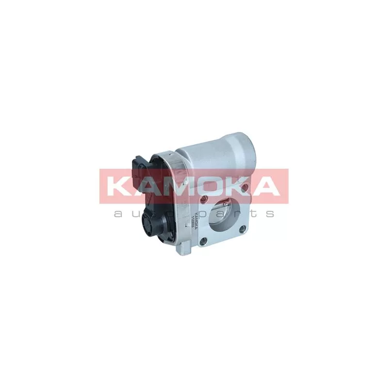 Corps papillon KAMOKA 112055 - Visuel 2