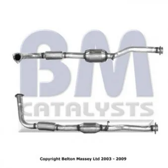 Catalyseur BM CATALYSTS OEM ESR2248