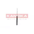 KAMOKA 2000739 - Jeu de 2 amortisseurs arrière