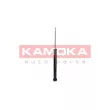 KAMOKA 2000740 - Jeu de 2 amortisseurs arrière